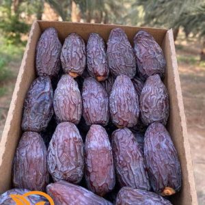 মেডজুল খেজুর (1 KG)